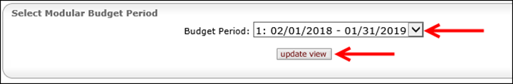 The modular budget period can be selected and the view updated
