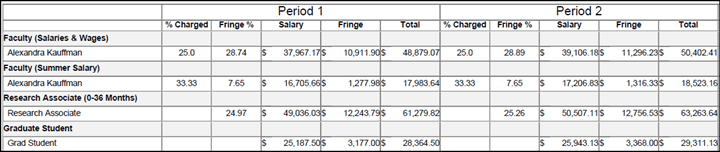 Adobe report example