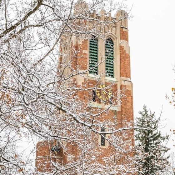 image of winter at beaumont tower