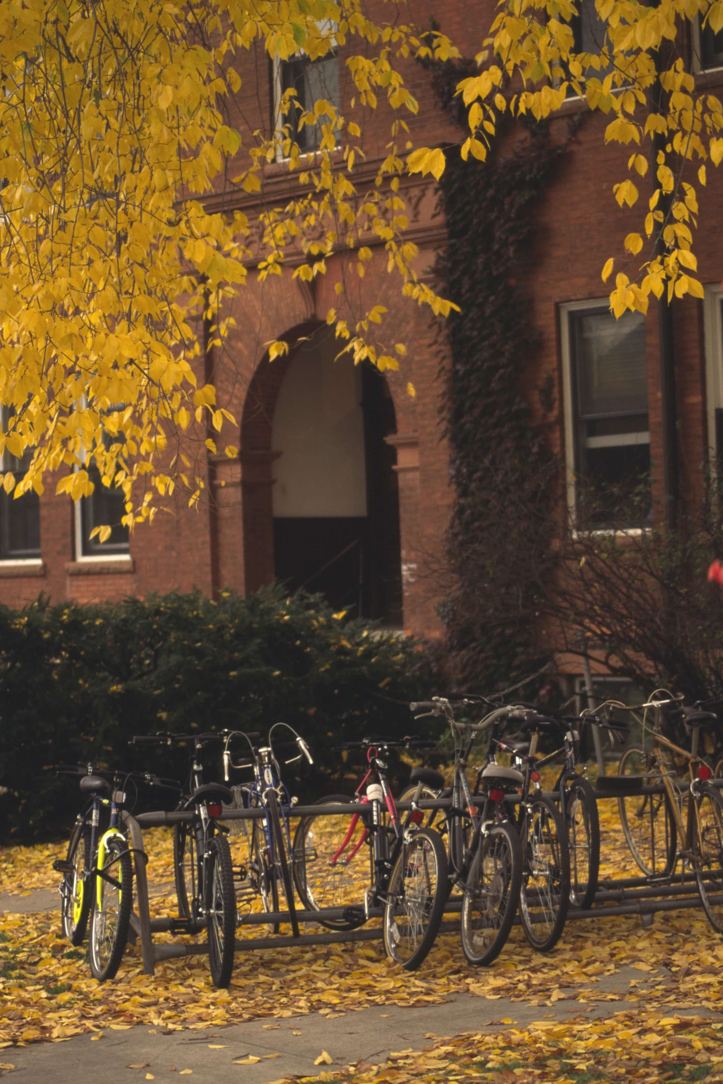 image of colorful fall trees with bikes in front of building