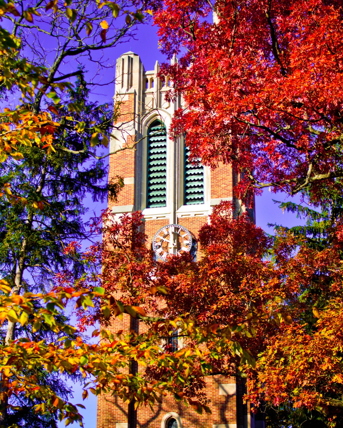 Image of fall colors at Beaumont Tower.